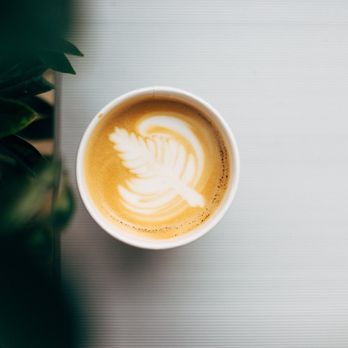 Rove Coffee - Coffee & Tea Near Me - Springfield, Missouri Rove Coffee - Coffee & Tea Near Me - Springfield, Missouri