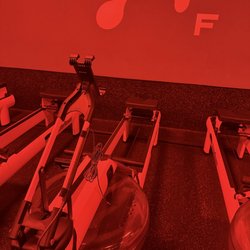 Novo Gym Repair