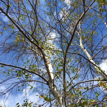 Mill Creek Marsh - Parks Near Me - Secaucus, New Jersey
