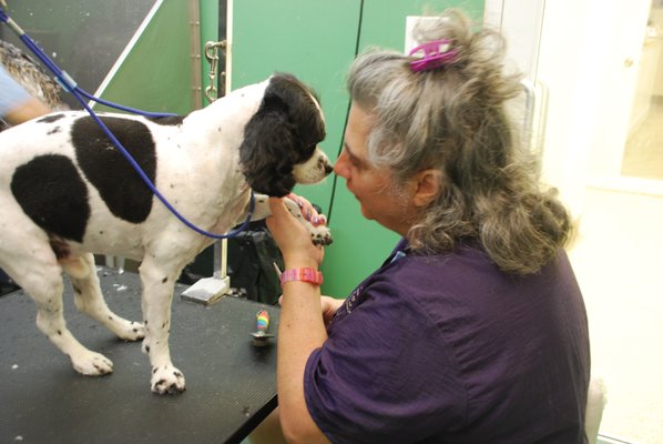 Biscuits & Bath - Riverside Blvd by null