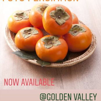 Golden Valley Nurseries - Fuyu Persimmons - Nurseries & Gardening Near Me - Tracy, California Golden Valley Nurseries - Fuyu Persimmons - Nurseries & Gardening Near Me - Tracy, California