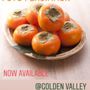 Photo of Golden Valley Nurseries