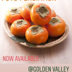 Golden Valley Nurseries - Fuyu Persimmons