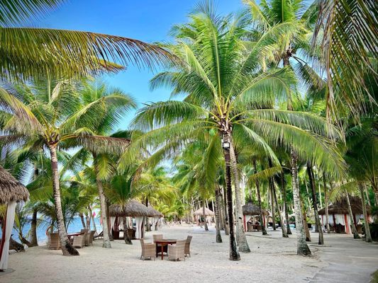 Coco Grove Beach Resort by null