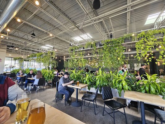 Wandering Leaf Brewing Company by null