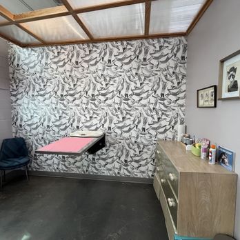PAZ Veterinary North - Exam room - Veterinarians Near Me - Austin, Texas