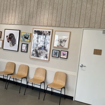 Veterinary Skin & Ear - Waiting area - Veterinarians Near Me - Los Angeles, California Veterinary Skin & Ear - Waiting area - Veterinarians Near Me - Los Angeles, California