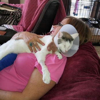 AV Veterinary Center - Fredo just wanted his Mommy. Thank you Dr. Sandhu and everyone at AV Veterinary Center. - Veterinarians Near Me - Lancaster, California AV Veterinary Center - Fredo just wanted his Mommy. Thank you Dr. Sandhu and everyone at AV Veterinary Center. - Veterinarians Near Me - Lancaster, California