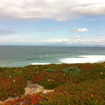 Monterey Bay Coastal Trail - Hiking Near Me