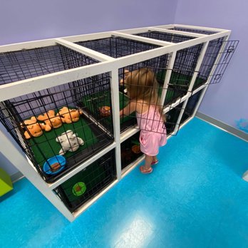 Itty Bitty City - The "Animal Hospital" - Party & Event Planning Near Me - Springfield, Missouri