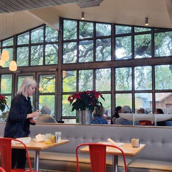 Vinaigrette - Great view of the oak tree and patio - Salad Near Me - Austin, Texas Vinaigrette - Great view of the oak tree and patio - Salad Near Me - Austin, Texas