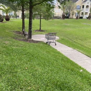 Windsor Gardens - Carts just being pushed to the side after using them - Apartments Near Me - South Houston, Texas