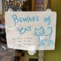 Photo of Pillow-Cat Books