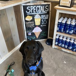 Campus Creamery