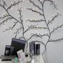 Photo of Simplicity Med Spa