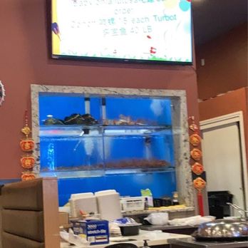 Tastee Steam Kitchen - Inside fish tank - Seafood Near Me - Oakland, California Tastee Steam Kitchen - Inside fish tank - Seafood Near Me - Oakland, California