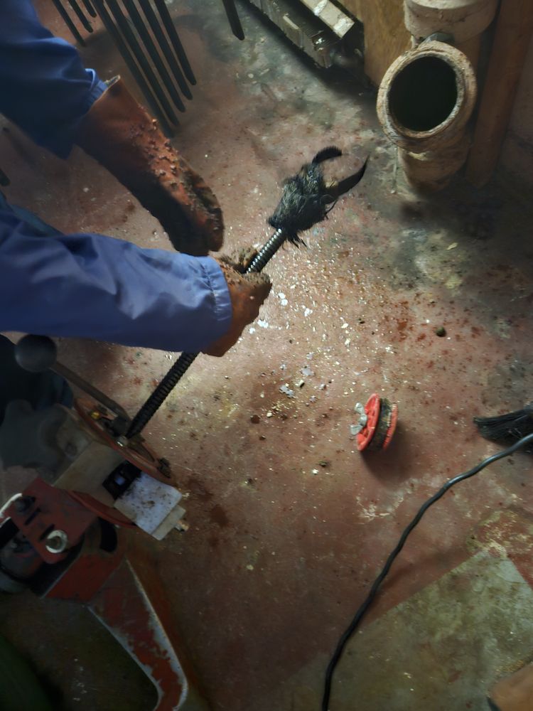 Slide of Root Busters