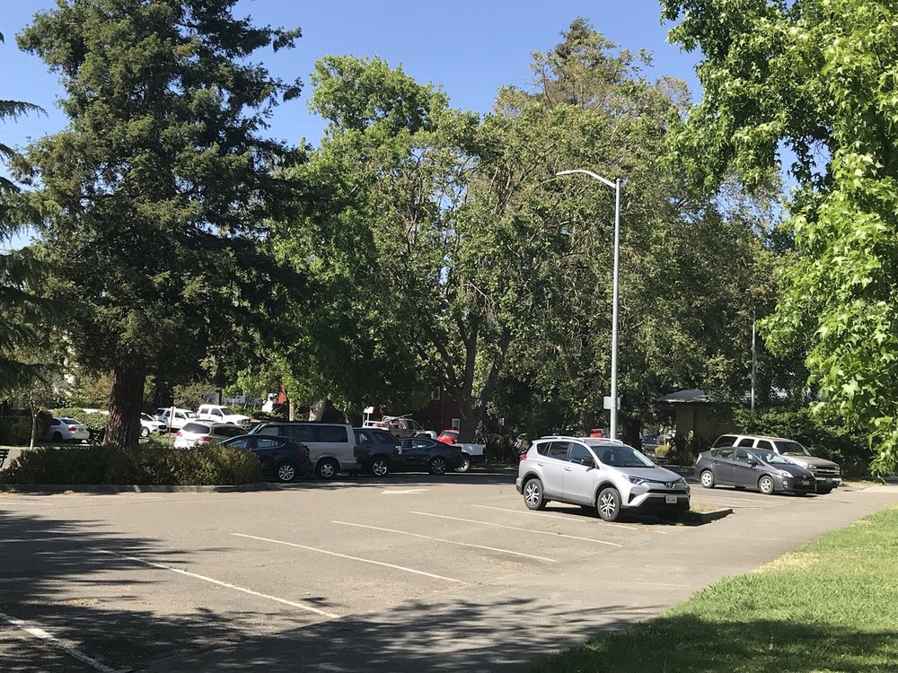 CITY OF PETALUMA CITY CLERK’S OFFICE Updated September 2024 11