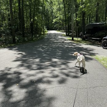 Mahlon Dickerson Reservation - Headed toward the shower building. - Campgrounds Near Me - Jefferson Township, New Jersey