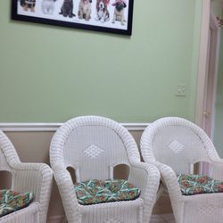 Simoneaux R A DVM - Comfy chairs