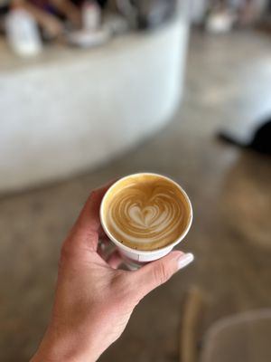 Palomino Coffee by null