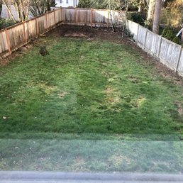 Before: sad backyard with missing patches of grass and uneven ground