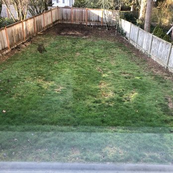 Tan's Landscape - Before: sad backyard with missing patches of grass and uneven ground - Landscaping Near Me - Renton, Washington
