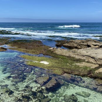 Children's Pool - Beaches Near Me - La Jolla, California Children's Pool - Beaches Near Me - La Jolla, California