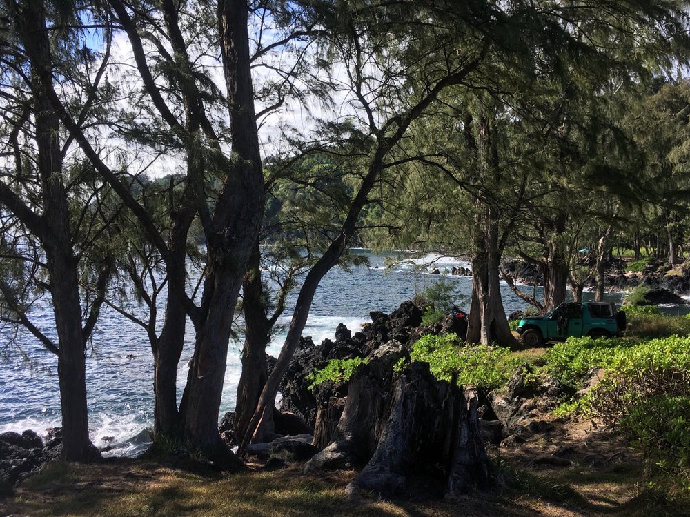 Pu’u ‘Ō’ō Trail Logo