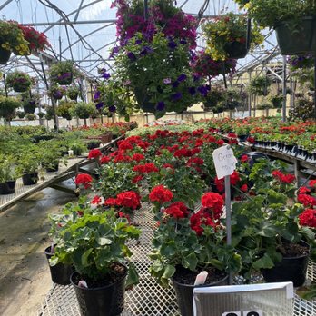 Country Place Greenhouse - Nurseries & Gardening Near Me - Springfield, Kentucky