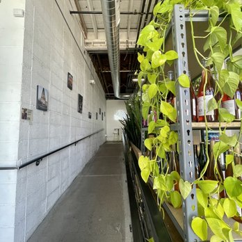 Middle State Coffee - Coffee Roasteries Near Me - Denver, Colorado