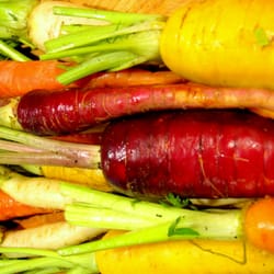 Stony Ridge Farm - Stony Ridge Farm Rainbow Carrots