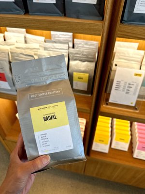 Pilot Coffee Roasters by null