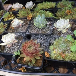 Y & M Nursery