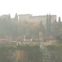 Photo of Moba