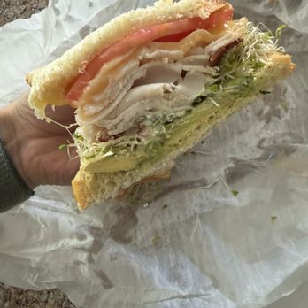Bagel Base - Turkey Bacon Avocado Melt with Havarti and Sprouts - Bagels Near Me - St. Augustine, Florida