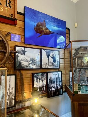 The Hemingway Home and Museum by null