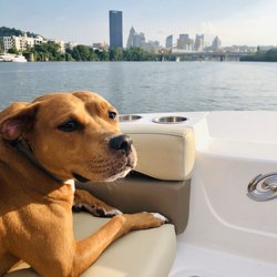 Freedom Boat Club - Pittsburgh - Brought the pup on board to enjoy the city views! (Also got him a life jacket - not pictured :) )