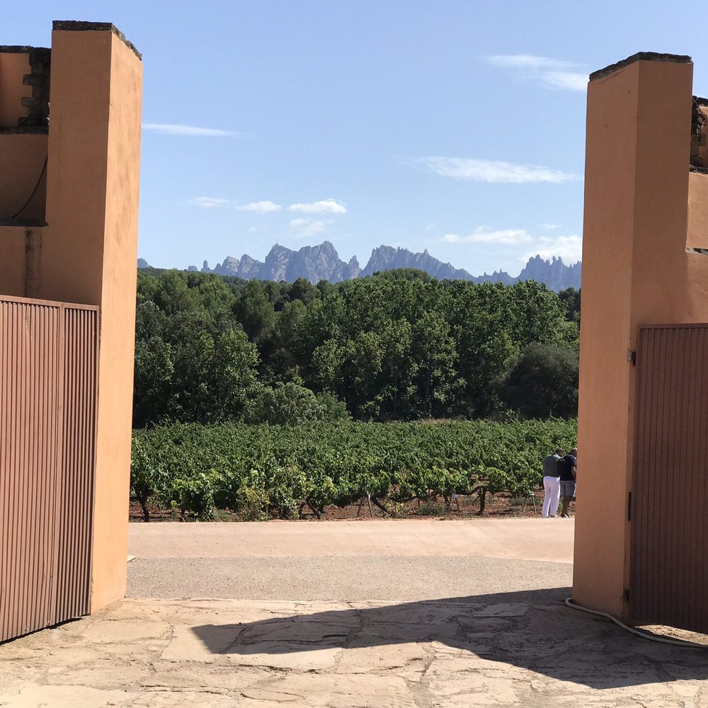 Castlexperience - View of Montserrat from Castle doors of Oller Del Mas - Wine Tours Near Me - Barcelona, B