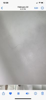 The Plum Tree Inn by null