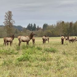 Meadowbrook Farm Preserve