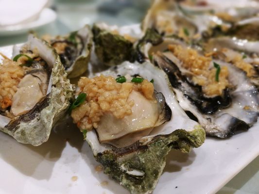 Captain's Catch by null