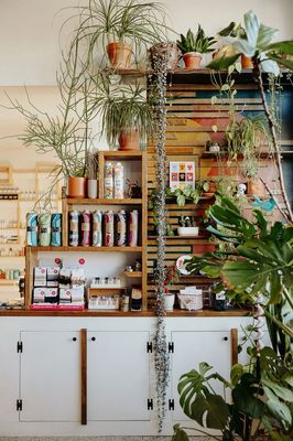 THE COLLECTIVE by null