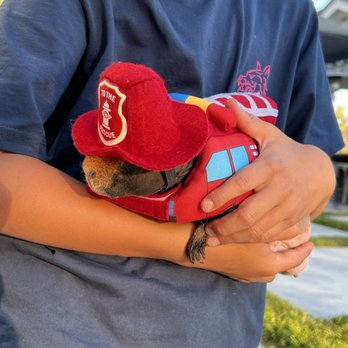 Petco - Gids getting geared up for Halloween - Pet Stores Near Me - San Ramon, California