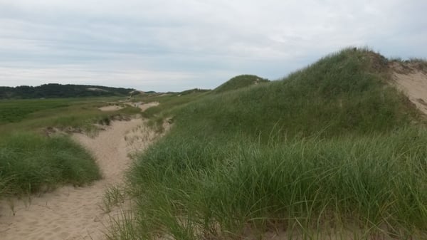 Great Island Trail by null