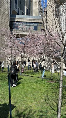 John P. Robarts Research Library by null