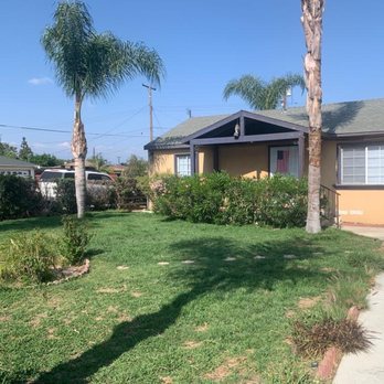 Angel's Tree Service - Palm trimming... - Tree Services Near Me Angel's Tree Service - Palm trimming... - Tree Services Near Me