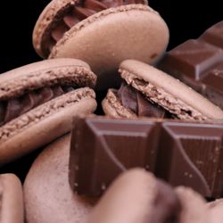 Laure's Fika Umeå - Chocolate macaron