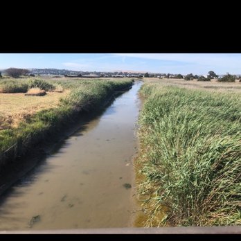 Carquinez Strait Regional Shoreline - Sooo dry :( aww I'm sad for the earth - Parks Near Me - Martinez, California Carquinez Strait Regional Shoreline - Sooo dry :( aww I'm sad for the earth - Parks Near Me - Martinez, California