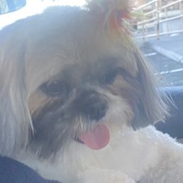 Happy Girl. Great haircut Happy Girl. Great haircut